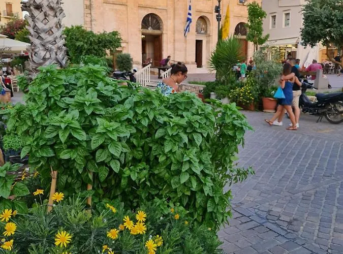 Apartament Nikolas *